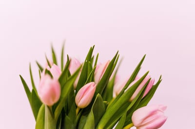 Celebrating International Women’s Day: Reflections on Leadership, Inspiration, and Equality